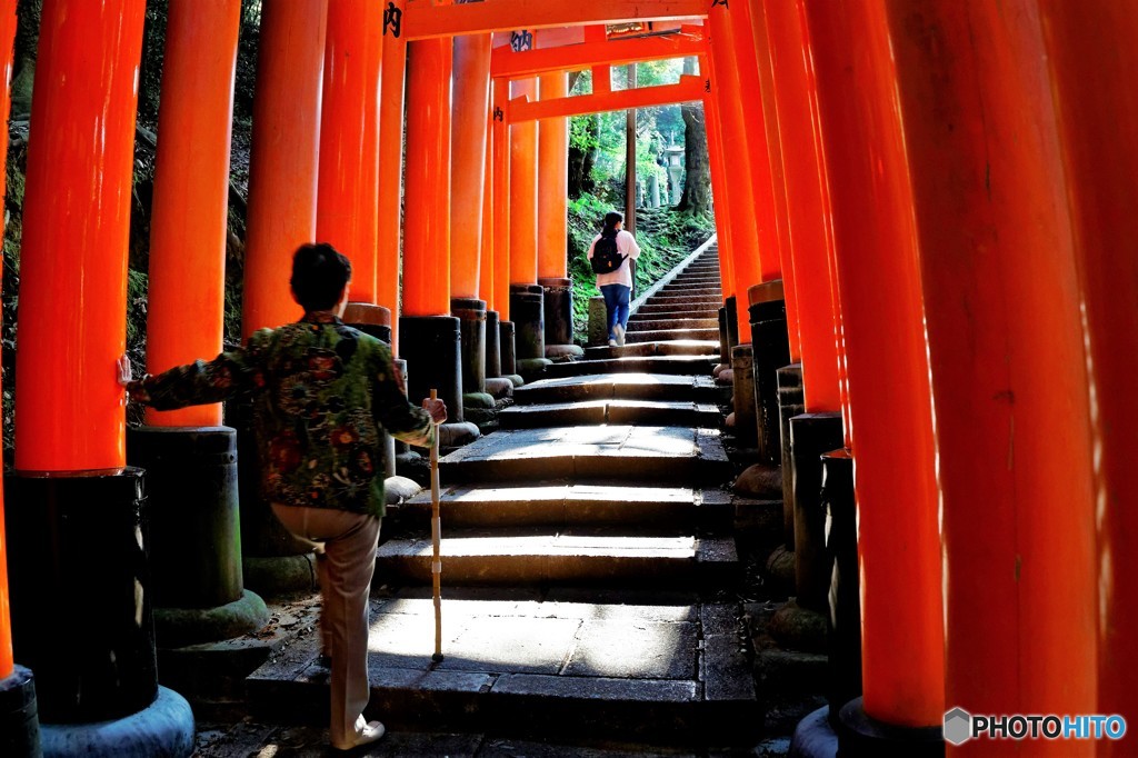 朝陽の参道　2