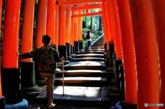 朝陽の参道　2