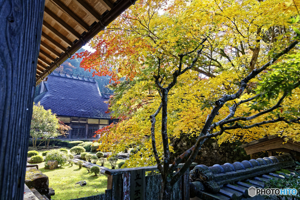 法常寺の彩 3