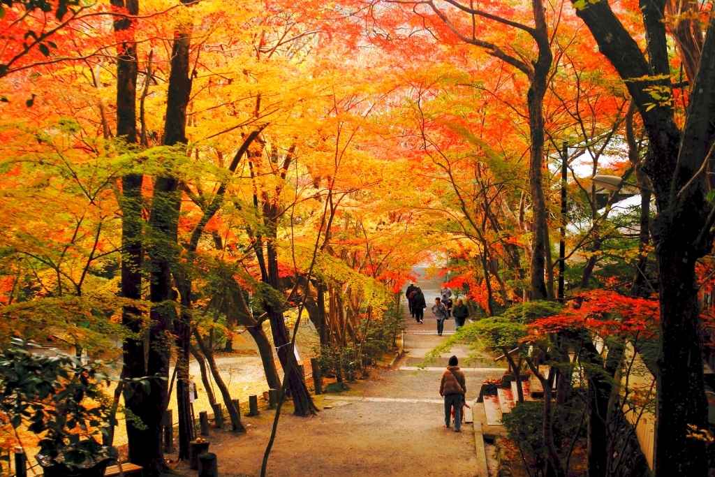 神峯山寺