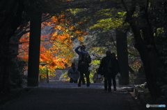 京春日の彩　６