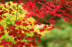 鍬山神社