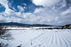 京都丹波の雪景色