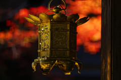 吊り灯篭