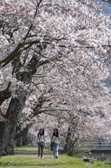 ＰＲＯＭＥＮＡＤＥ