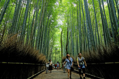 竹の径