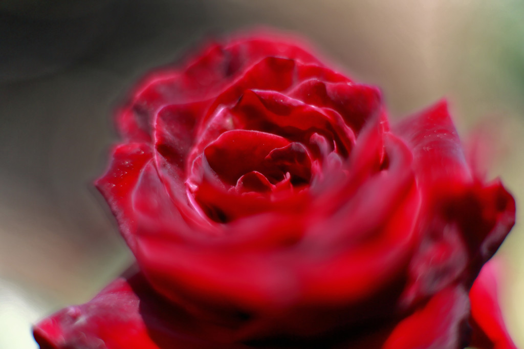 F1.4  【その3】