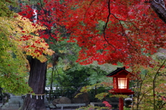 2014秋霖 Ⅸ