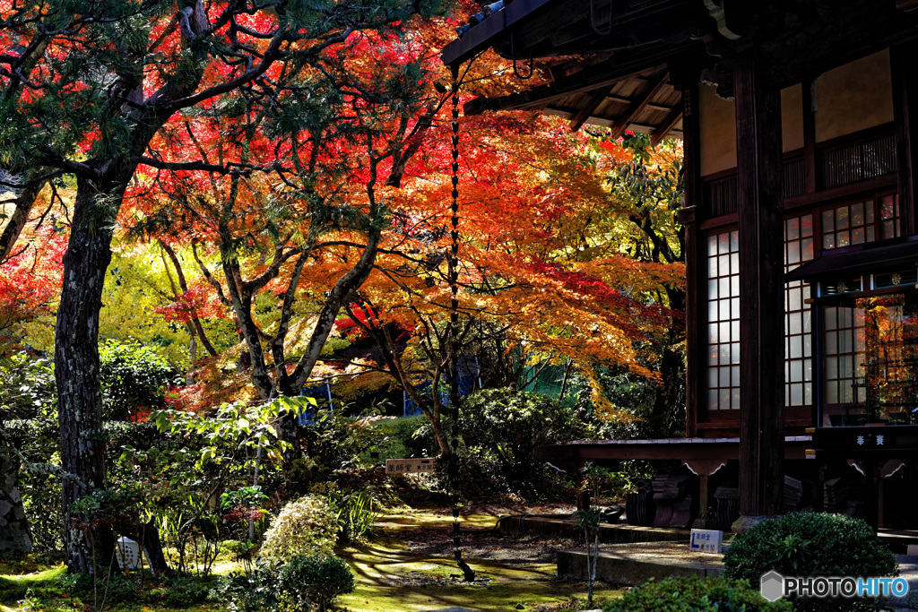 神蔵寺の彩 １