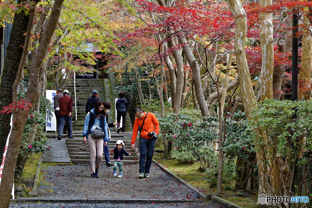 神峯山寺　参道