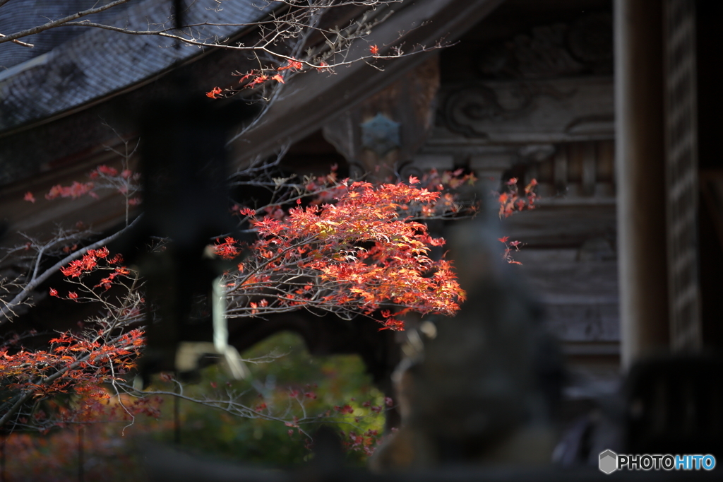 2015.10.31 鍬山神社　２