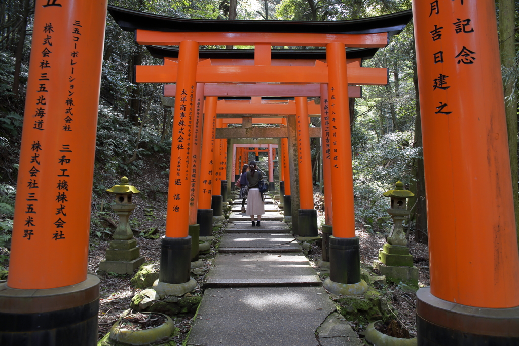 鳥居の道