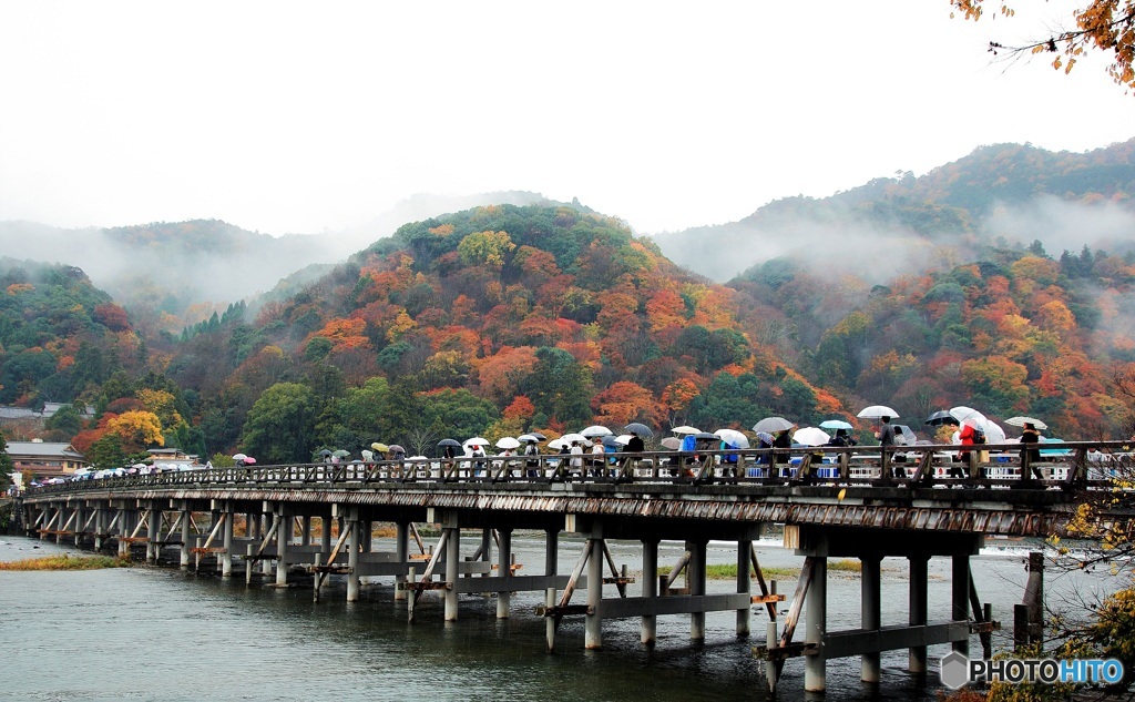 雨の渡月橋