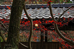神峯山寺　回廊