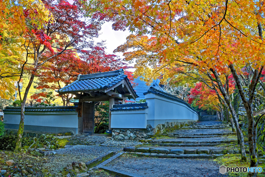 静寂の朝 2