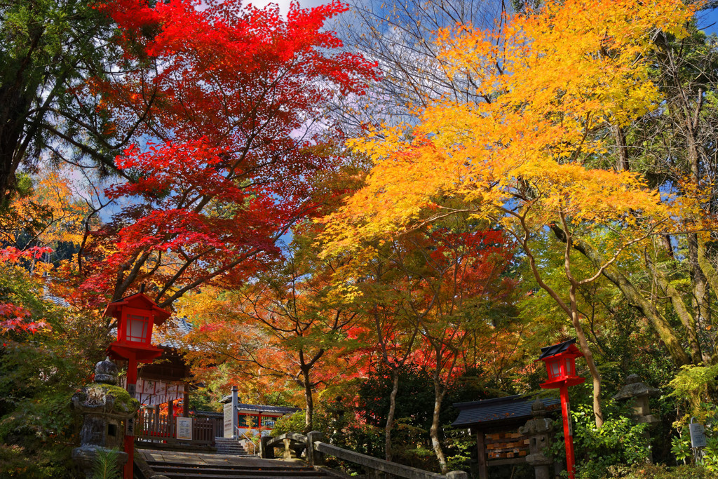 鍬山神社の彩