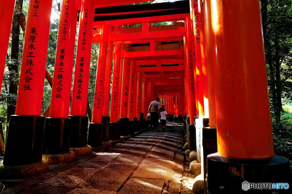 朝陽の参道　１