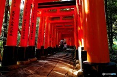 朝陽の参道　１