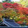 静寂の朝 １