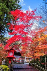 鍬山神社３