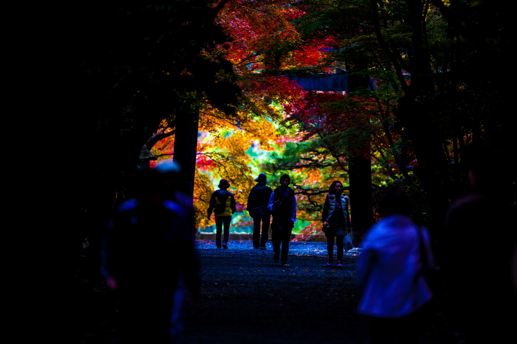 2013年京都洛西　大原野神社