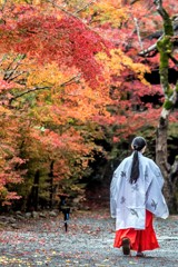 鍬山神社５