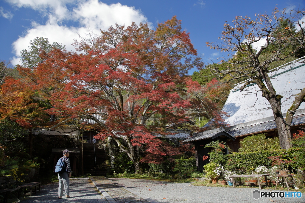 神蔵寺