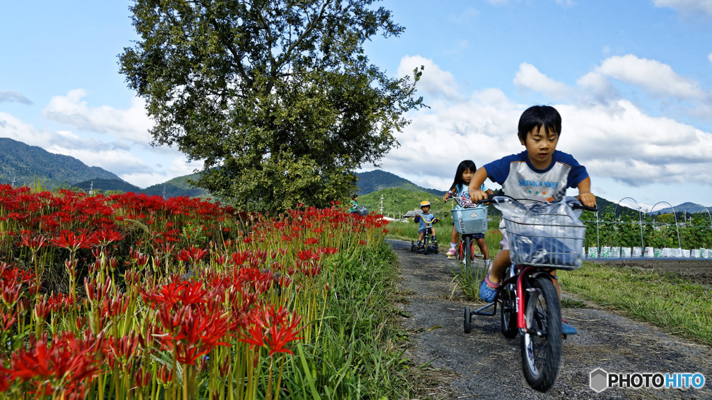 サイクリング