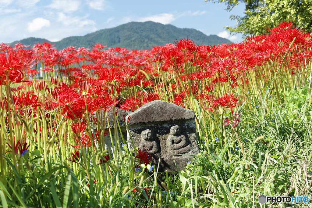 地蔵