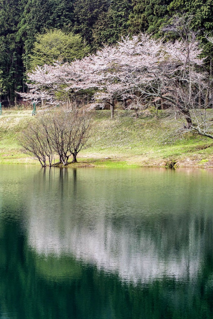 鏡面の湖水　3