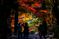 2013年京都洛西　大原野神社