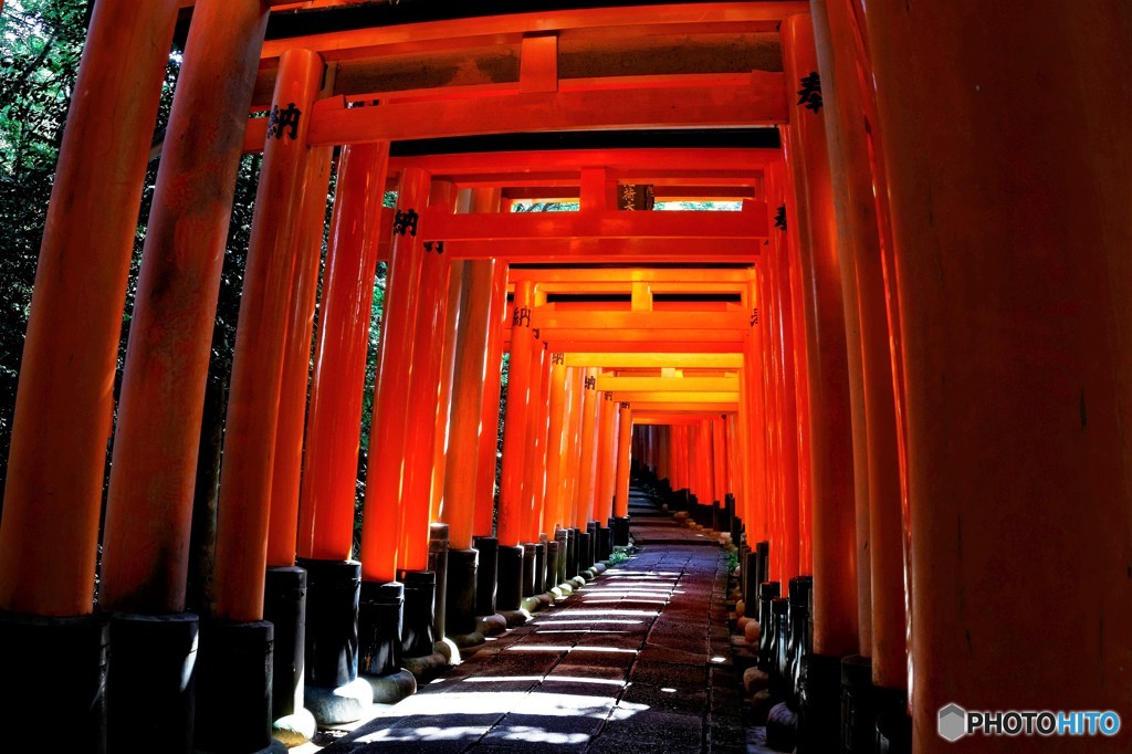 朝陽の参道　4
