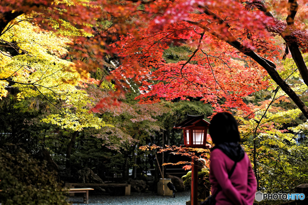 鍬山神社の彩　１