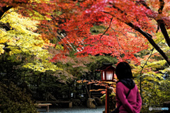 鍬山神社の彩　１