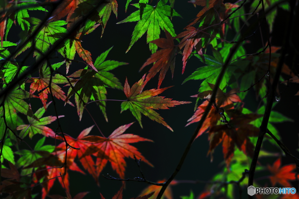 彩　２
