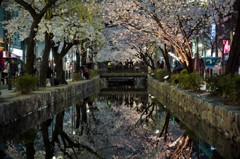 高瀬川