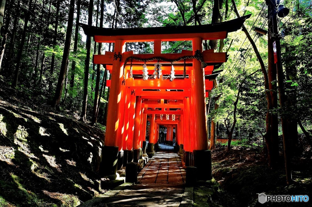 朝陽の参道　3