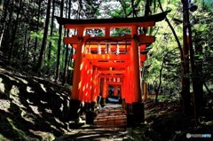 朝陽の参道　3