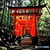朝陽の参道　3
