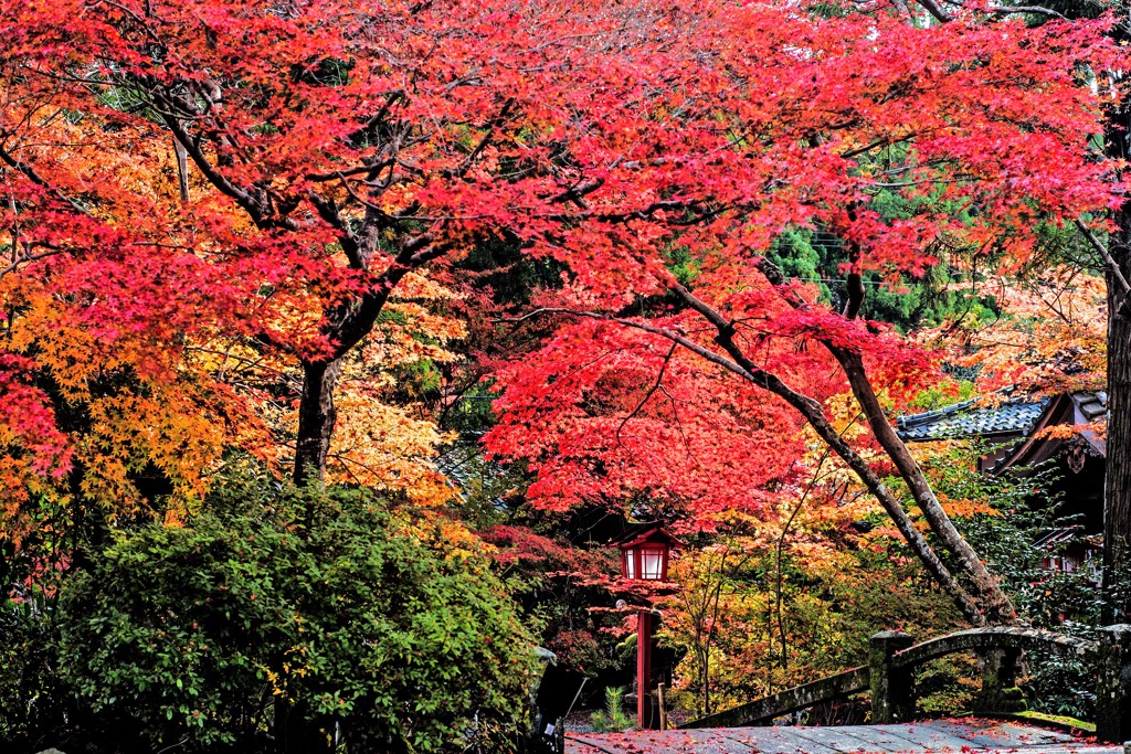 鍬山神社１