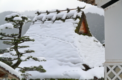 京都・美山かやぶきの里