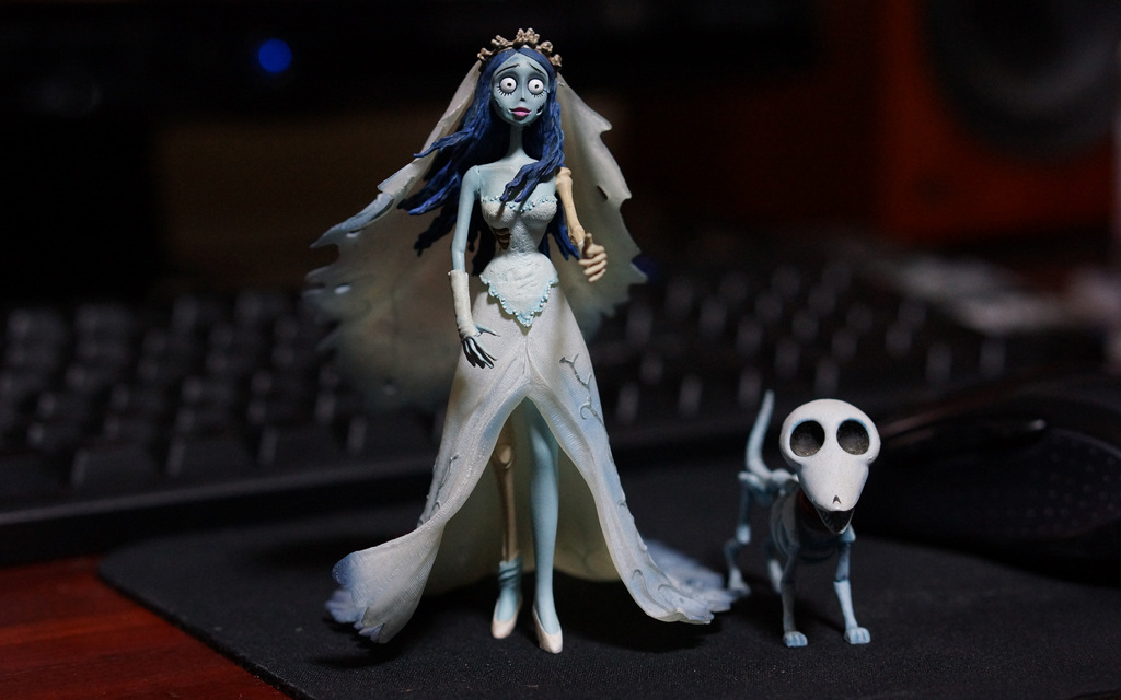 DSC00606