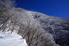 霧氷