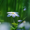 気づいて欲しい