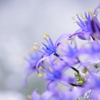 DPP_0430011
