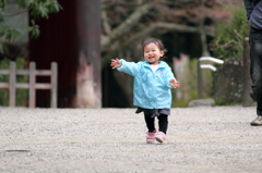 神社でお散歩