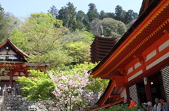 談山神社　春の日
