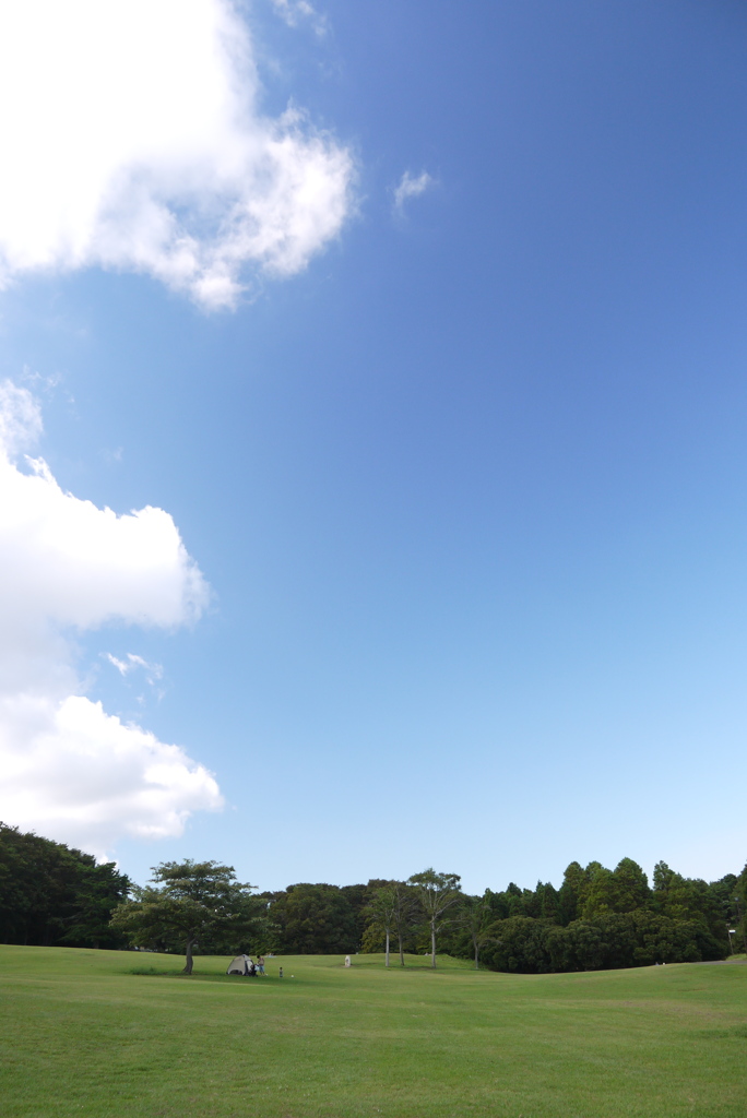 真夏の公園にて