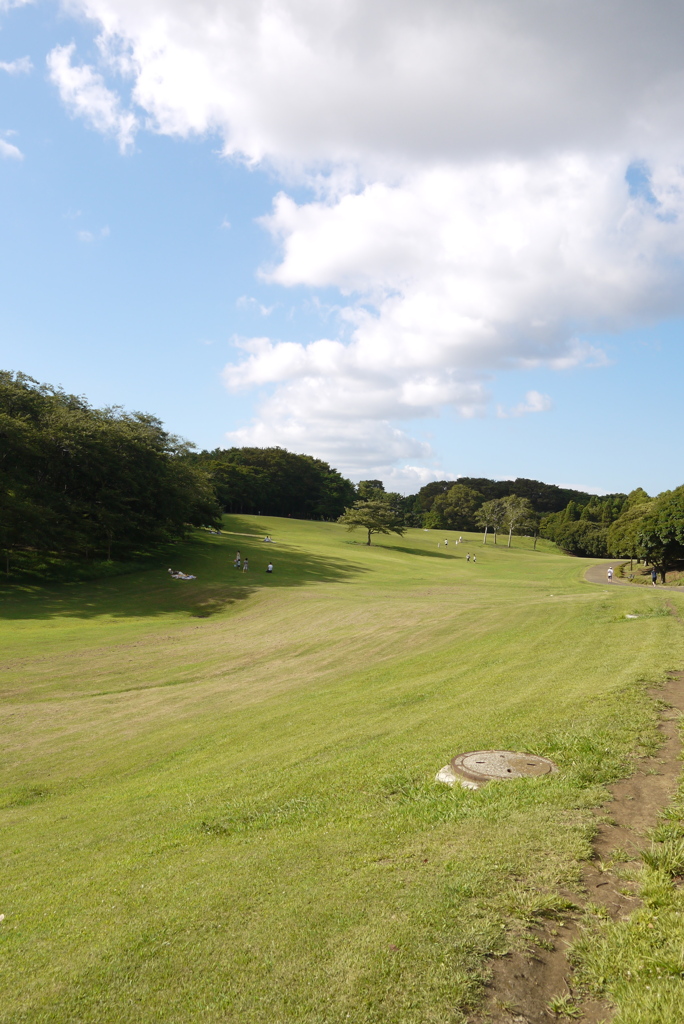 真夏の公園にて