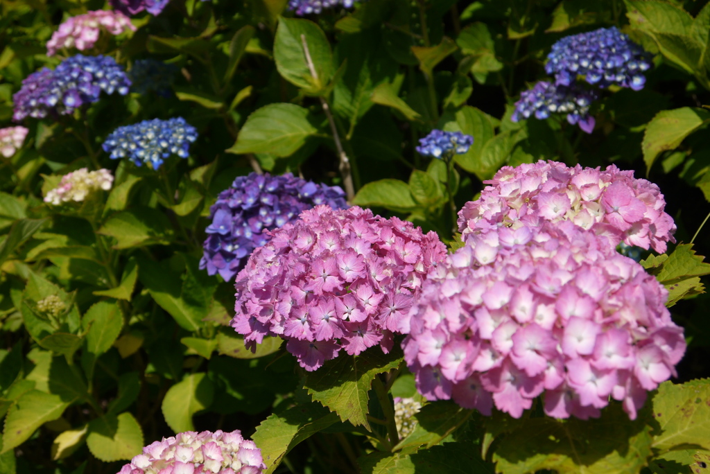 森林公園にて
